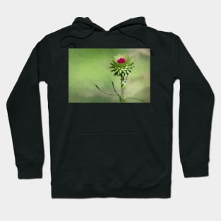 Wildflower Thistle New Beginnings Hoodie